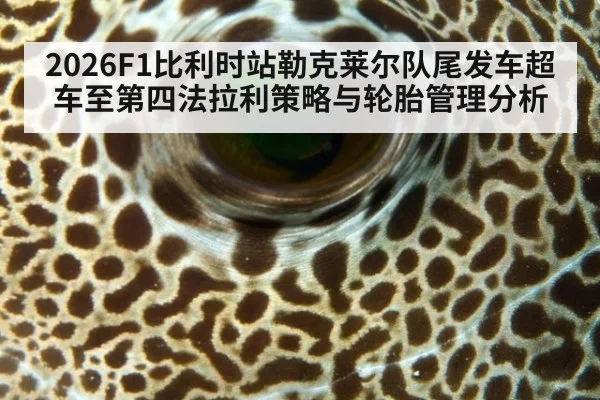 2026F1比利时站勒克莱尔队尾发车超车至第四法拉利策略与轮胎管理分析 | jiuyou game