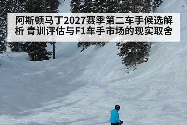 阿斯顿马丁2027赛季第二车手候选解析 青训评估与F1车手市场的现实取舍